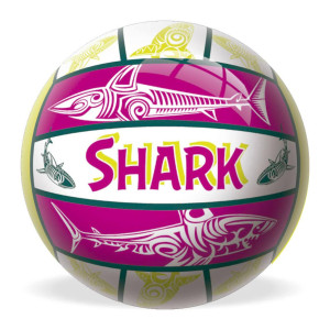 Shark Volleyboll