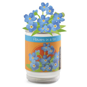 Flowers in a tin